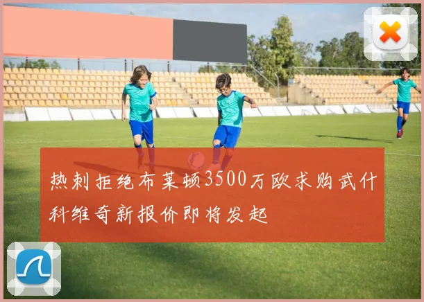 热刺拒绝布莱顿3500万欧求购武什科维奇新报价即将发起