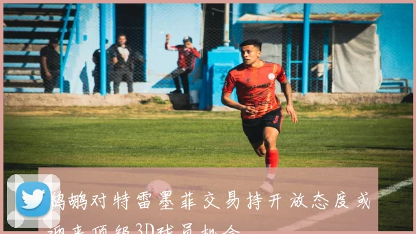 鹈鹕对特雷墨菲交易持开放态度或迎来顶级3D球员机会
